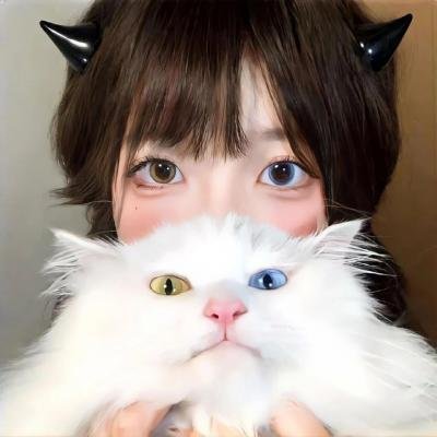 天灵盖