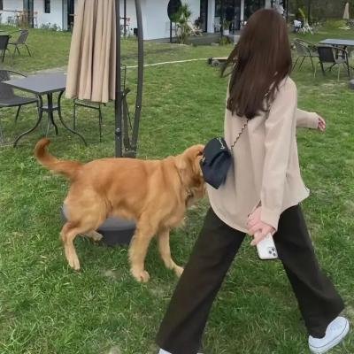 田园乐韵